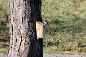 IMG_5314 - Version 3